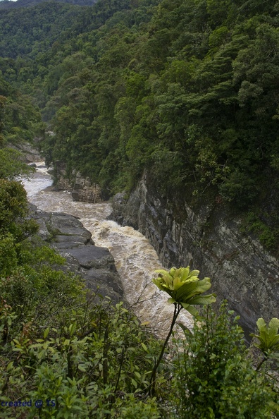 Ranomafana_14.jpg