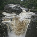 Ranomafana 15