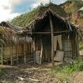 Andasibe (Perinet)