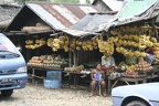 Andasibe (Perinet)