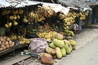 Andasibe (Perinet)