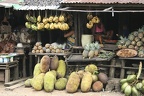 Andasibe (Perinet)