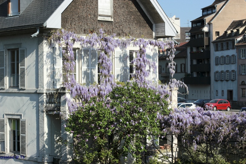 Straßburg_06.jpg