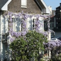 Straßburg 06