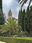 Malaga 084