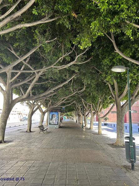 Malaga_012.jpg
